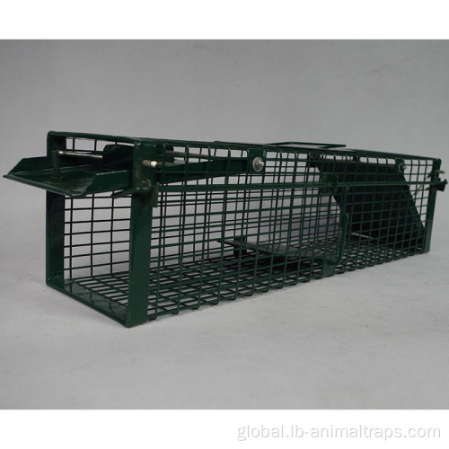 Live Pest Bird Cage Bird Trap Human Nature Live Pest Bird Cage Bird Trap Factory